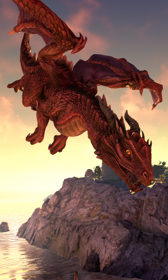 DragonBridge6